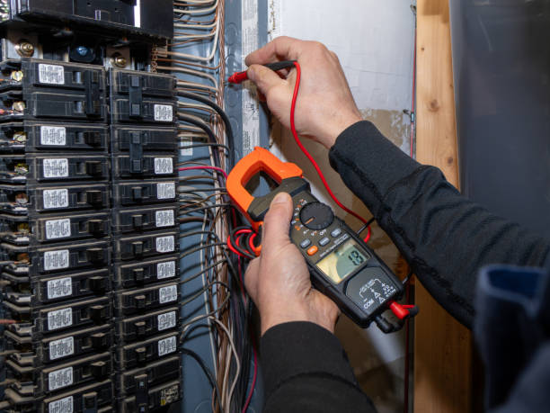 Best Electric Panel Repair  in Halfway, MD